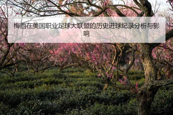 梅西在美国职业足球大联盟的历史进球纪录分析与影响
