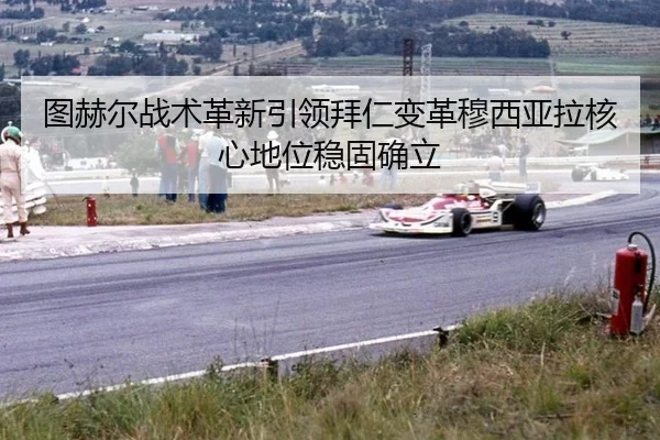 tu-he-er-zhan-shu-ge-xin-yin-ling-bai-ren-bian-ge-mu-xi-ya-la-he-xin-di-wei-wen-gu-que-li-3-861.jpg